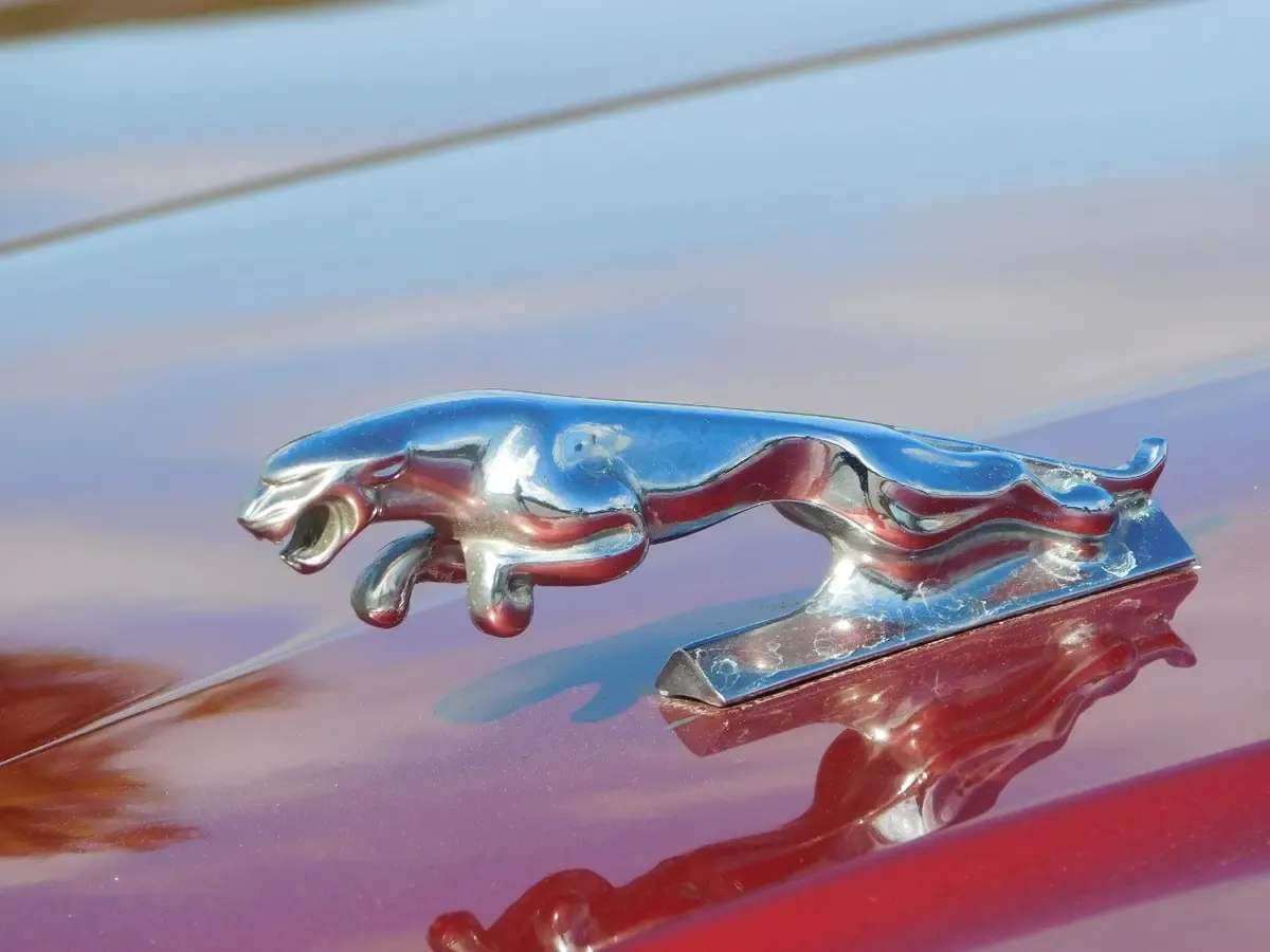 Carousel Image 11
