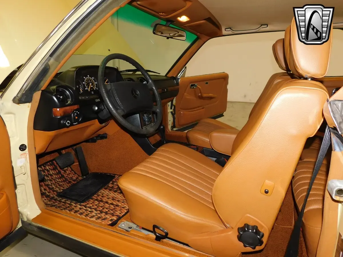 Carousel Image 6