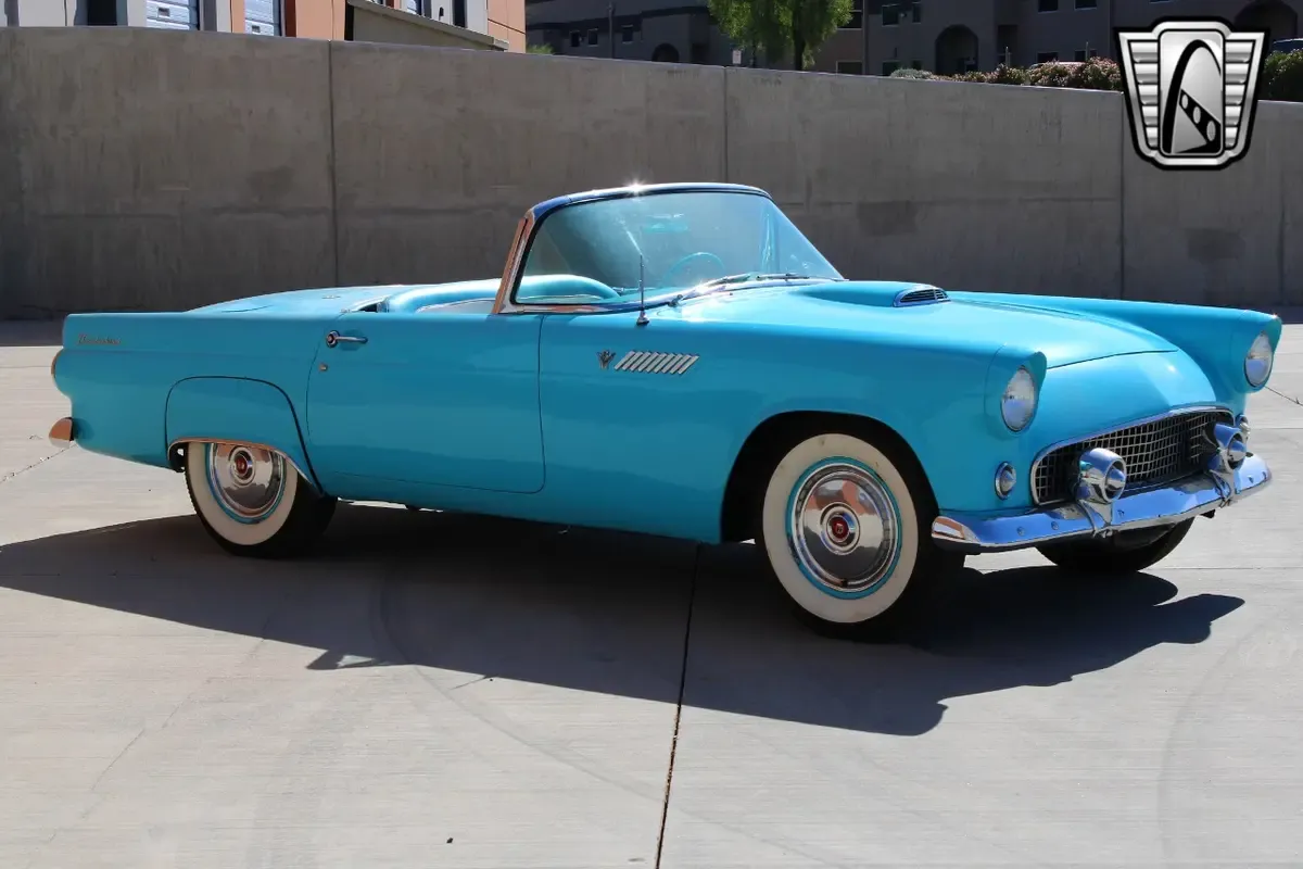 Carousel Image 6