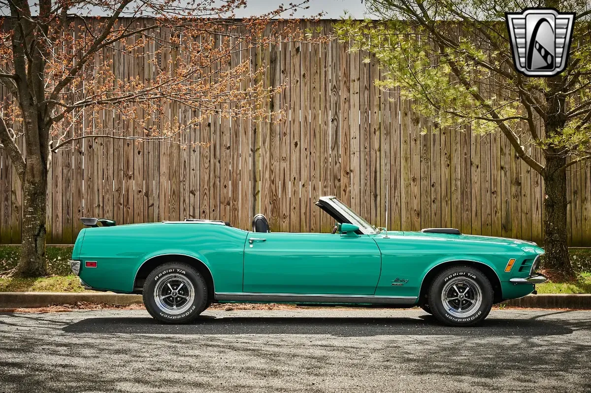 Carousel Image 7