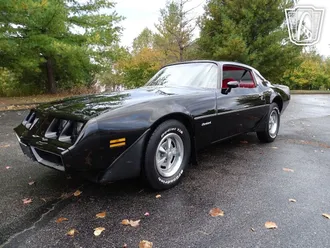 1981 Pontiac Firebird photo 2