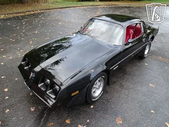 1981 Pontiac Firebird photo 3
