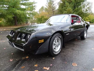 1981 Pontiac Firebird photo 4