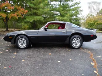 1981 Pontiac Firebird photo 7