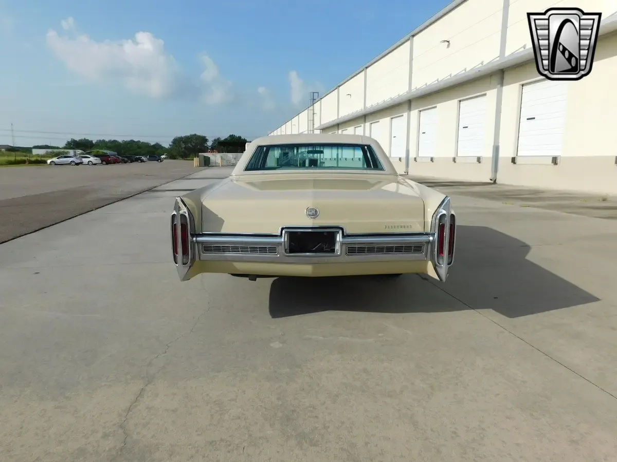 Carousel Image 4
