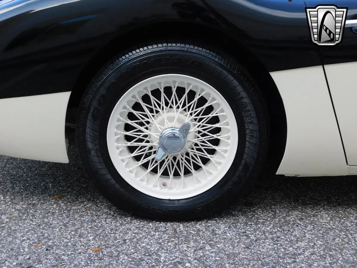Carousel Image 13