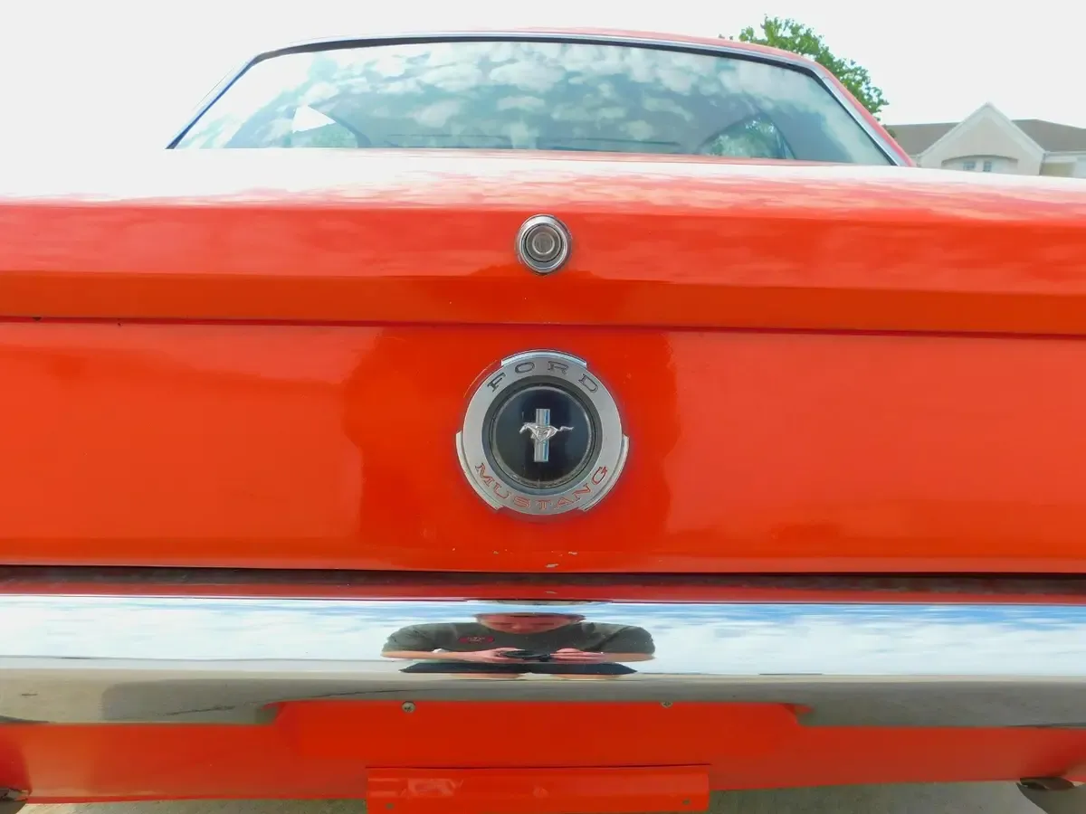 Carousel Image 21