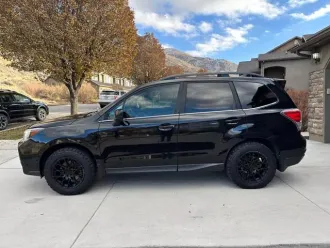 Forester 8