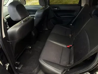 Forester 14