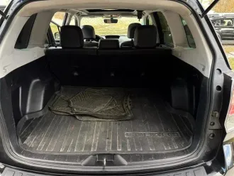 Forester 15