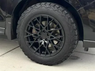 Forester 20
