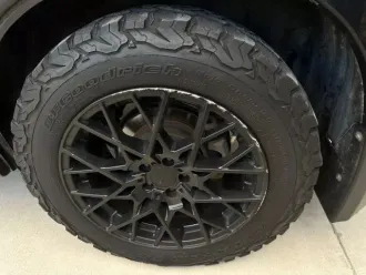 Forester 25