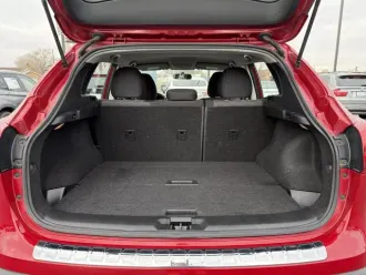Rogue Sport 12