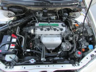 Accord 20