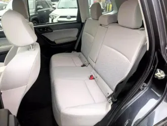 Forester 16