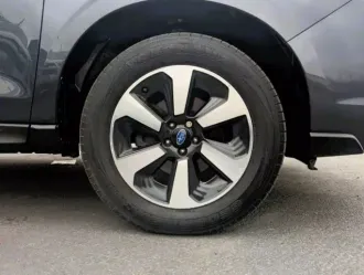 Forester 23