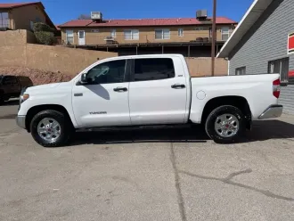 Tundra 29