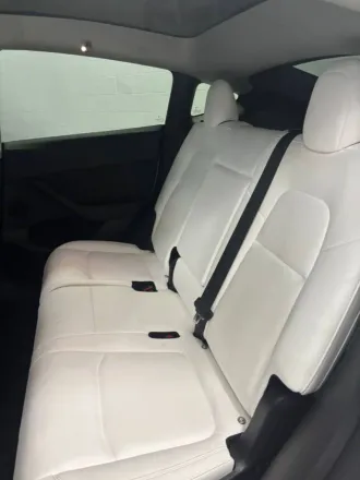 2023 Tesla Model Y photo 6