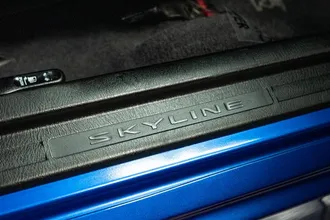 SKYLINE 22