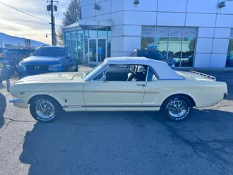 Mustang 8