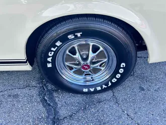 Mustang 10