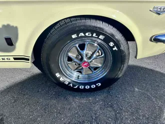 Mustang 13
