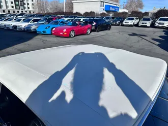 Mustang 14