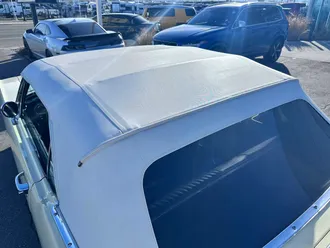 Mustang 16