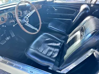 Mustang 18