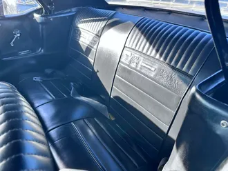 Mustang 19
