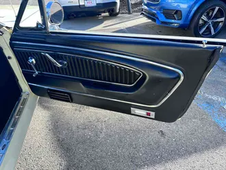 Mustang 22