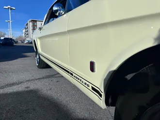 Mustang 24