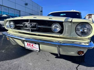 Mustang 25