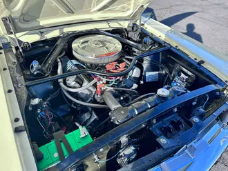 Mustang 26