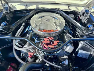 Mustang 28