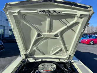 Mustang 33