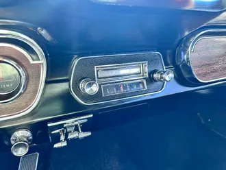 Mustang 37