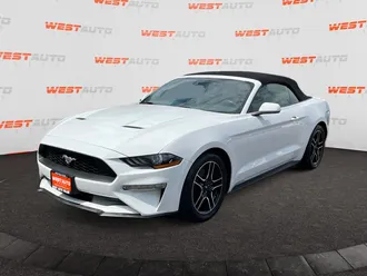 Mustang 1