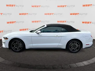 Mustang 2