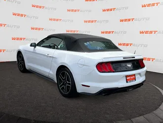 Mustang 3