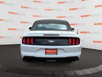 Mustang 4