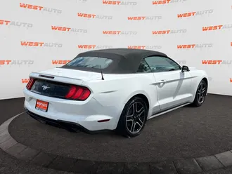 Mustang 5