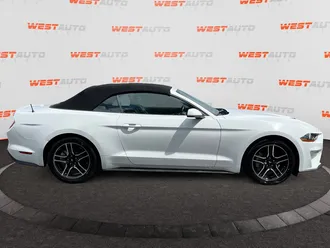Mustang 6