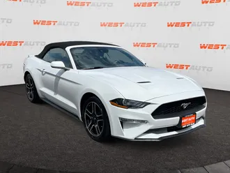 Mustang 7