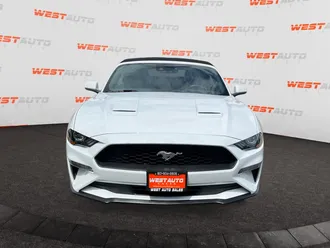 Mustang 8