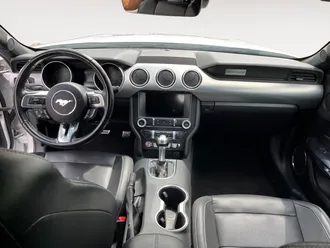 Mustang 10