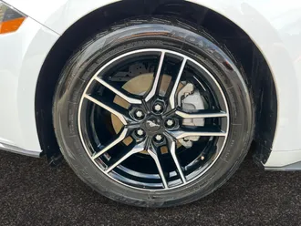 Mustang 14