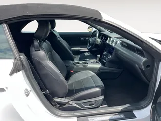 Mustang 15