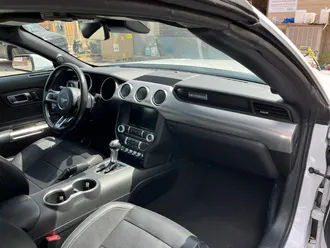 Mustang 16