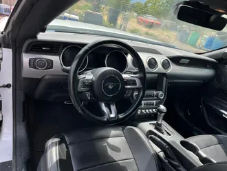 Mustang 18
